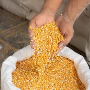 Maíz Amarillo Trillado Nacional